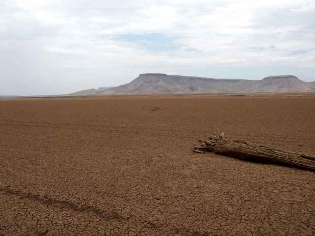 picture166.jpg