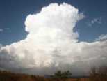 thumb161.jpg